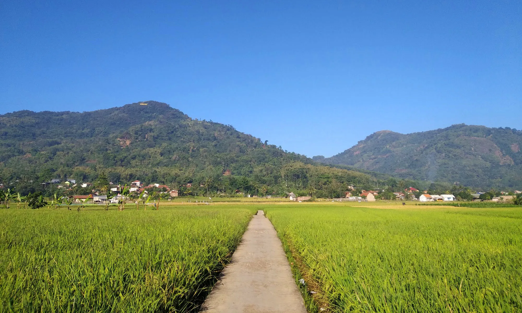 PemdesBumiwangi